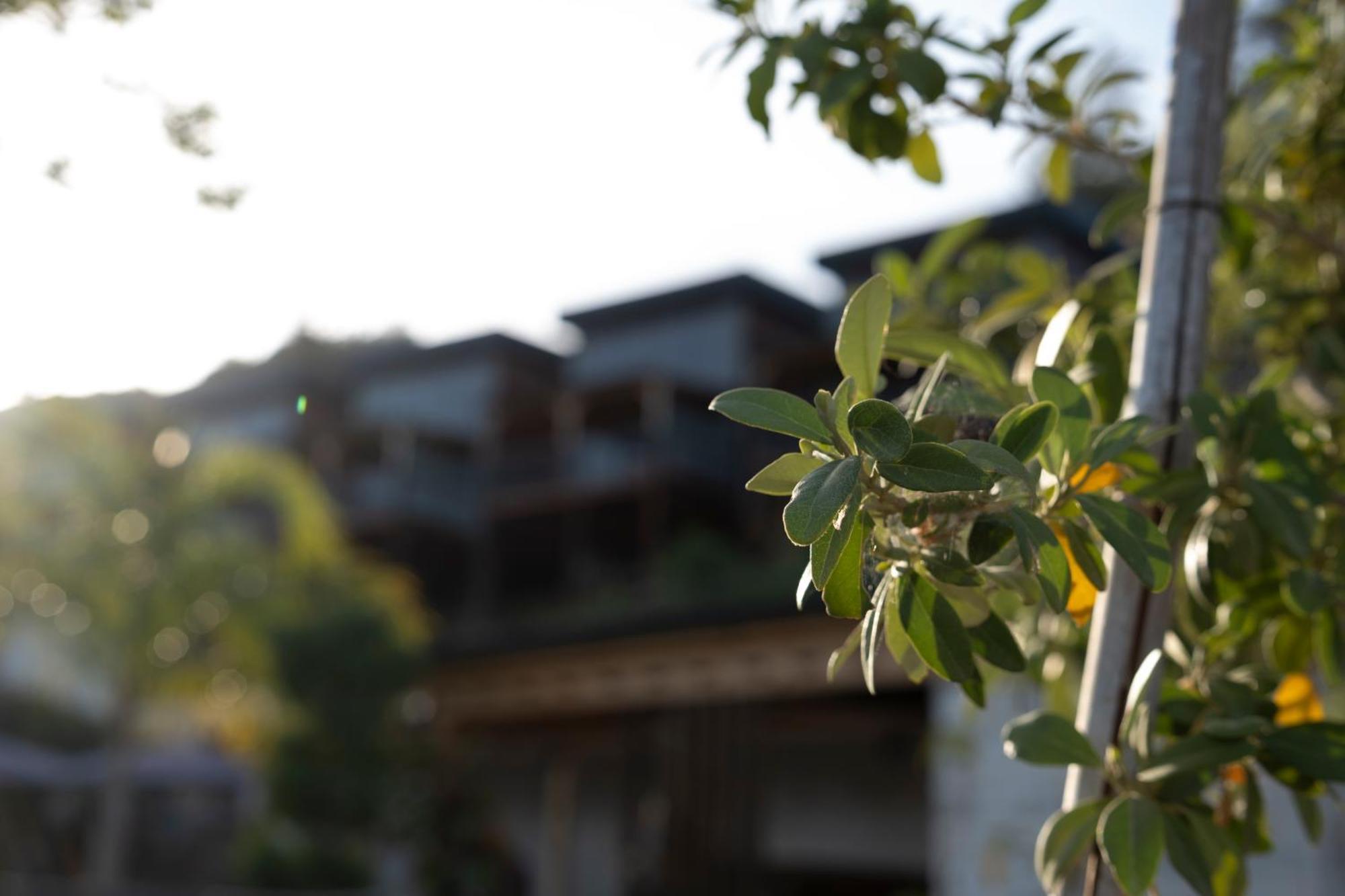 La Veranda Villas Kumluca Exteriér fotografie
